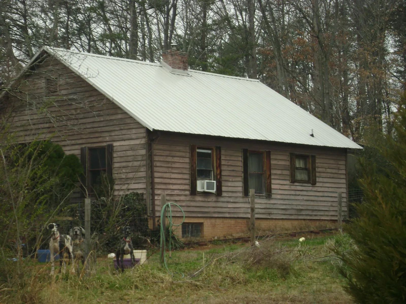 White metal roof on an old wood sided farmhouse, from a Asphalt Shingle Roof Repair job in Framingham